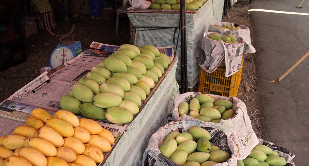 TRAVEL BLOG PHILIPPINES KANOILANDER Travel in the Philippines